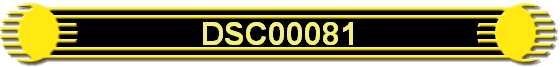 DSC00081