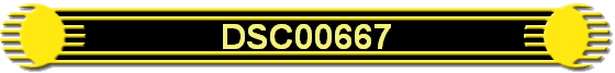 DSC00667