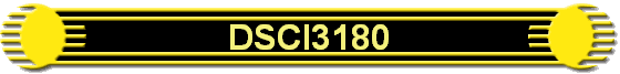DSCI3180