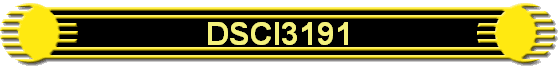 DSCI3191