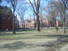 DSCI3535